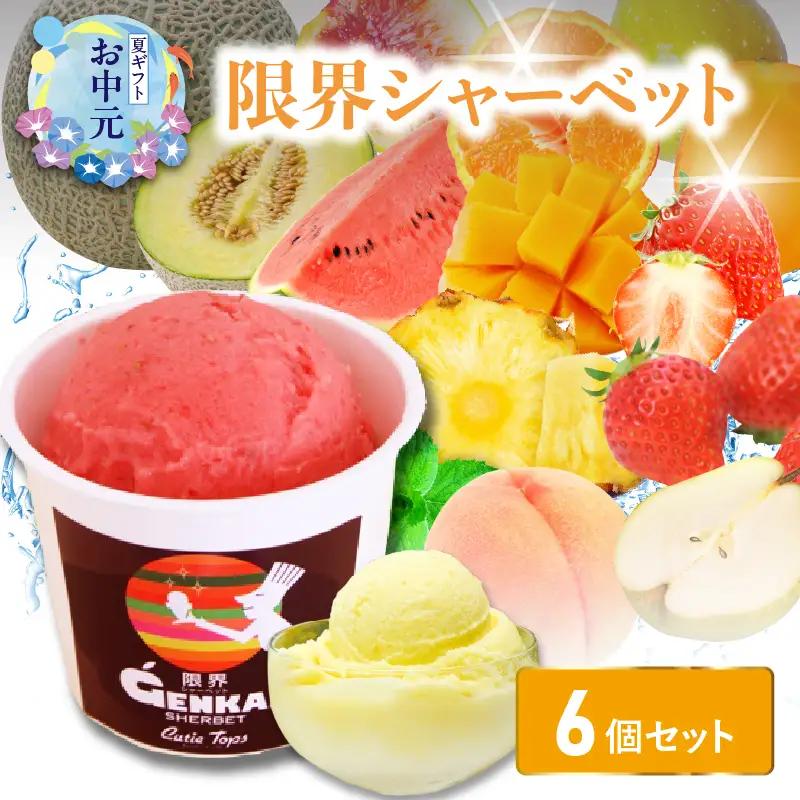【お中元ギフト】 限界シャーベット 6個セット ≪7/1～8/9の期間に発送≫
