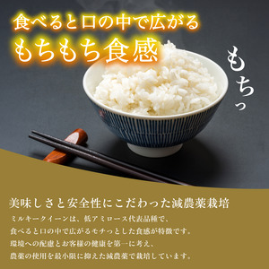 【令和7年度産】減農薬ミルキークイーン 精米 5kg / 米 農家直送 低農薬 綾部市 / 森本ファーム［BSDH130］