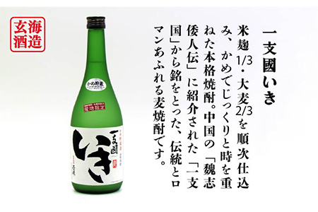 【全12回定期便】隆美焼酎・かめ貯蔵 いき 27度の2本入りセット [JDB200] 180000 180000円