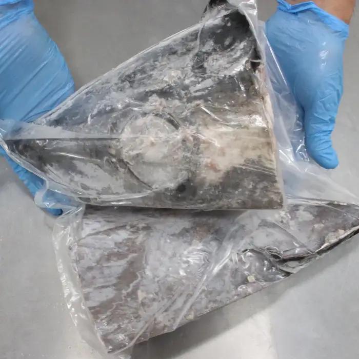 メバチマグロ兜 頭半割1個分（1kg） 1/4カット×2個 [0015-0069]