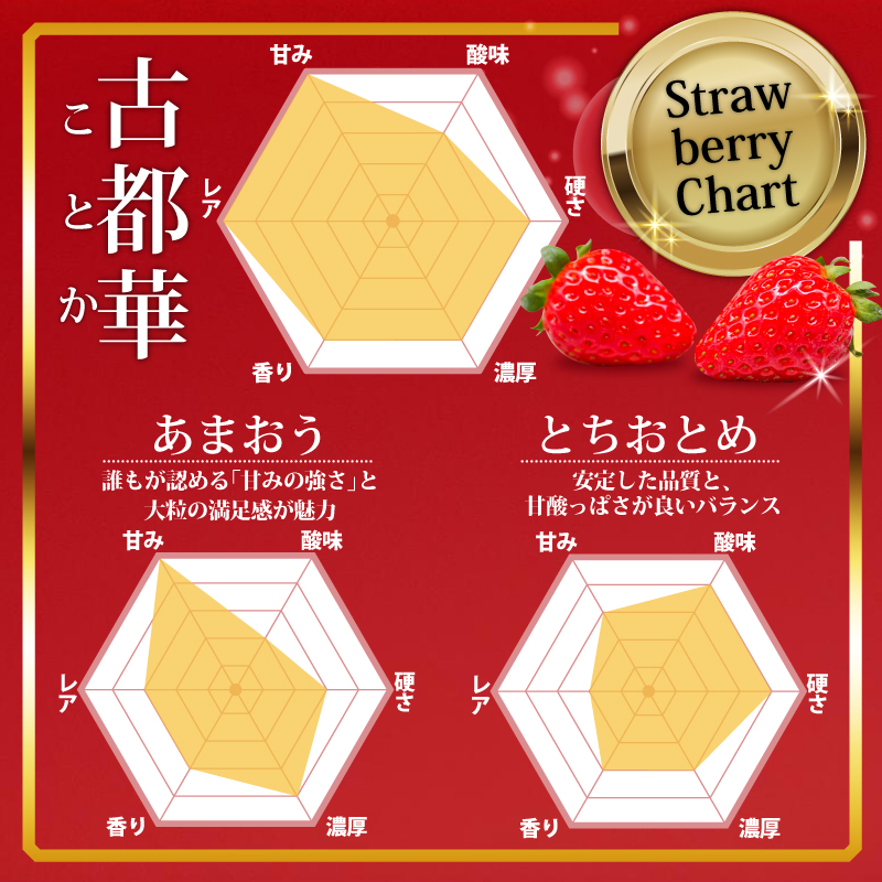 いちご 古都華 大粒 ことか 18~24粒 1セット 4~5Lサイズ 古都華 化粧箱 数量限定 先行予約 2027年発送 苺 イチゴ 季節限定 旬 完熟 大粒 フルーツ 果物 スイーツ スムージー ケ