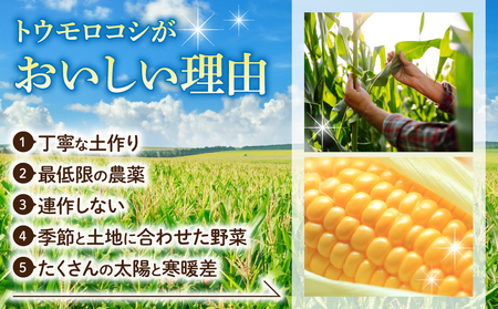 【先行受付2026年発送】生でもすごく甘い！生きた土壌で育った『とうもろこし』2Lサイズ12本｜里山JAPAN　※2026年7月中旬以降発送予定　トウモロコシ とうもろこし 長野県産とうもろこし 信州