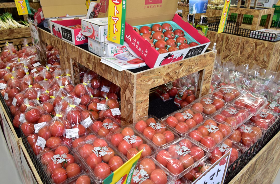 長生（ながいき）とまと１箱（20～24個(約4kg)）一宮町産 トマト