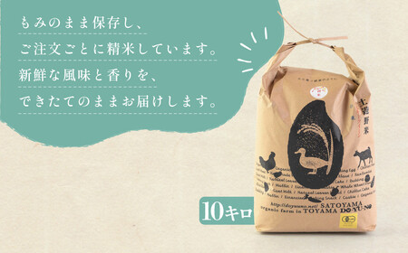 有機米 ミルキークイーン 10kg （有機JAS認証米） 米 白米 精米