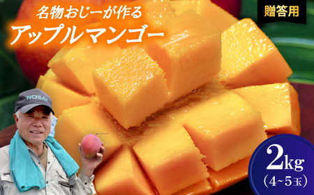 【2026年7月から順次発送・贈答用】名物おじーが作るアップルマンゴー2kg(4～5玉)【配送不可地域：離島】【1694665】