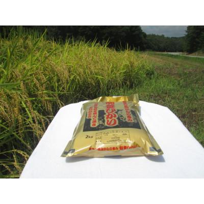 ふるさと納税 能登町 奥能登柳田米　能登ひかり2Kg(令和7年産)