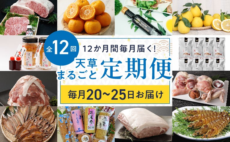 
            S999-T02_【定期便12回】天草まるごと定期便！12か月間毎月お届け（数量限定！）
          