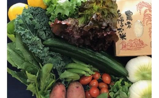 お米2合 野菜8~10品目セット 米 2合 野菜 8～10品 セット 詰め合わせ  お米 300g  白米 ヒノヒカリ 採れたて 家計応援 果物 やさい フルーツ 使い切り トマト なす  ブランド米