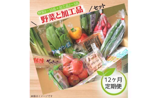 【12ヶ月定期便】旬菜館オリジナル＼野菜と加工品／セット