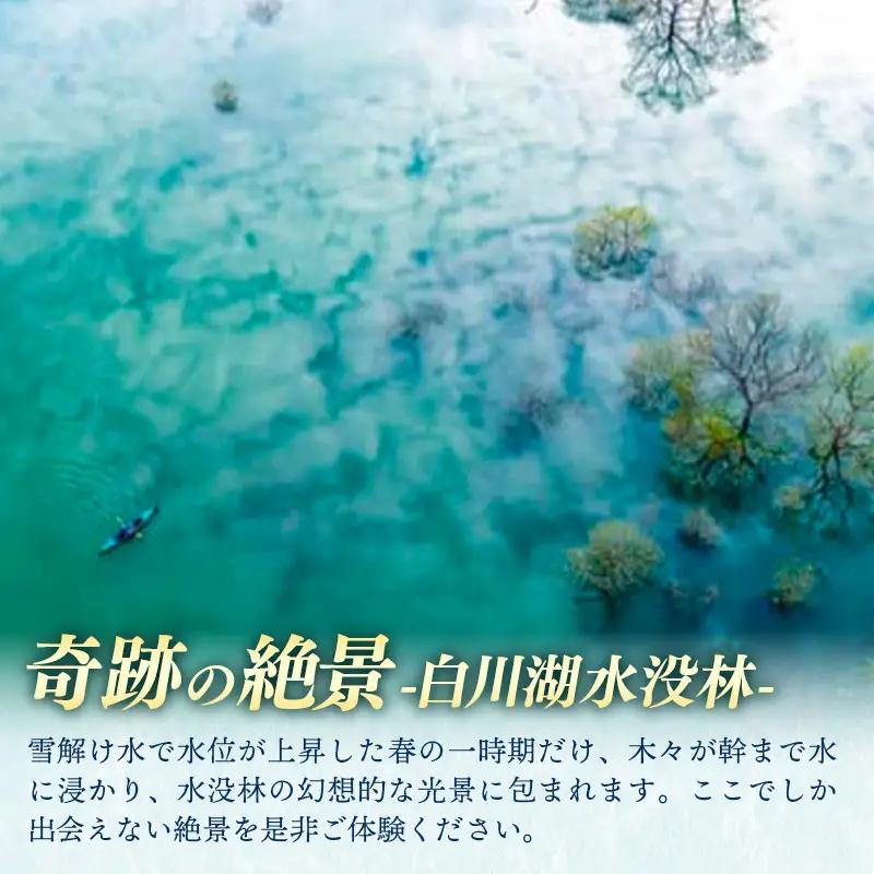 絶景 水没林カヌープレミアムツアー（10名様分）癒しの自然満喫プレミアムアクティビティ - 体験型 カヌー体験 レジャー カヌー 自然 白川湖 水没林 体験チケット アクティビティ フォトジェニックス