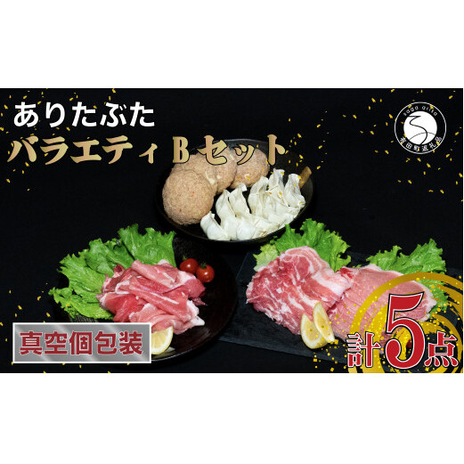【人気！豚肉5種セット】ありたぶた バラエティBセット (豚肉5種) 小分け 真空パック 豚肉 ロース バラ モモ もも 赤身 ハンバーグ 餃子 N12-11