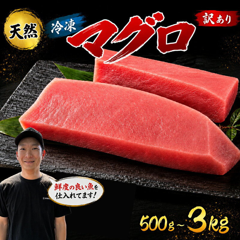 【ふるさと納税】 訳あり マグロ 天然 まぐろ 500g ～ 3kg マグロ刺身 マグロ たたき マグロ丼 鮪 マグロ漬け丼の具 冷凍 鮪 ネギトロ丼 マグロ まぐろ ブロック 赤身 天然 スライス刺し身 さしみ 魚介 海鮮 海鮮丼 おかず 惣菜 訳あり 冷凍 お取り寄せ 冷凍 高知県 安芸市