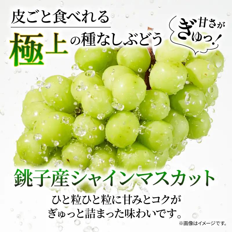 訳あり シャインマスカット × マスカット・ノワール （ 種なし ） 1房 450g 以上