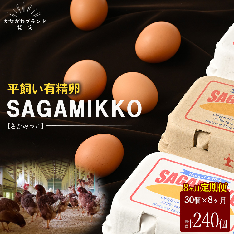 【8ヶ月定期便】《かながわブランド認定》平飼い有精卵さがみっこ 30個×8か月 | 平飼い ケージフリー 卵 有精卵 鶏卵 玉子 たまご 生卵 国産 濃厚 コク 旨味 ※離島への配送不可