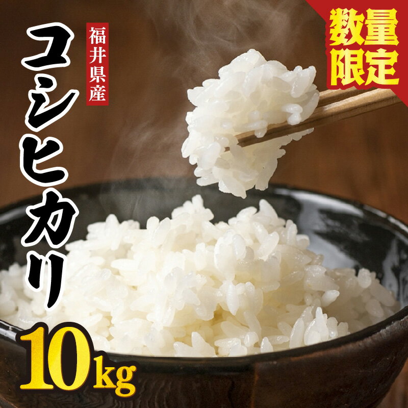 【ふるさと納税】【数量限定！】 令和7年産 福井県 坂井市産 コシヒカリ 10kg (白米) お米 米 こめ コメ こしひかり 白米 10キロ 精米 ブランド米 ふるさと納税米 産地直送