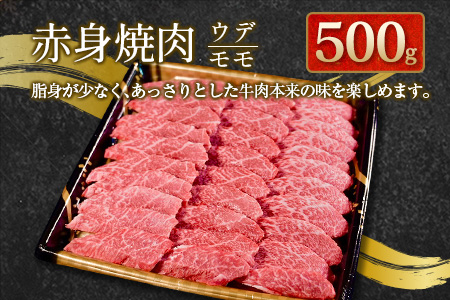 齋藤牛 特選焼肉盛合せ（肩ロース 500g・赤身ウデ・モモ 500g）計1kg【D116】