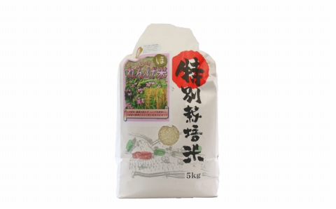 【令和7年度産】 《精米》佐々木さんの「れんげ米」（5kg）