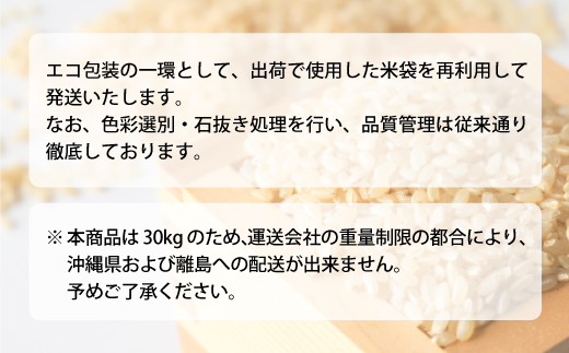 ◇数量限定◇ 令和8年6月下旬発送 ＜令和7年産＞ 雪若丸 【玄米】 30kg （30kg×1袋） 沖縄県・離島配送不可　鮭川村