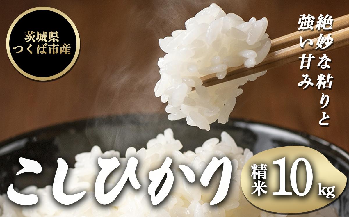 令和7年産 コシヒカリ 10kg