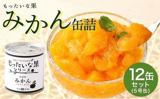 
【訳あり】 もったいな果シリーズ みかん 缶詰 5号缶×12缶 セット 国産
