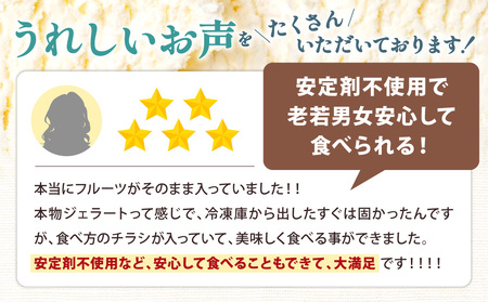 ジェラート 近江の果実 ごろごろ ジェラート（６個セット） A39 フルーツ くだもの アイス あいす スイーツ かなめカフェ 東近江