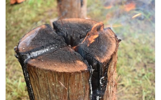 スゥエーデントーチ2本セット 40cm×20cm 木材 焚き付け 焚火 アウトドア キャンドル キャンプ用品 薪 焚火 たきび たき火 キャンプ ファイヤー BBQ ソロキャン