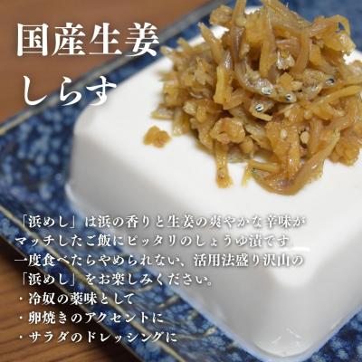 ふるさと納税 南相馬市 浜めししらす生姜 500g(100g×5袋) 香の蔵  al004-aa |  | 01