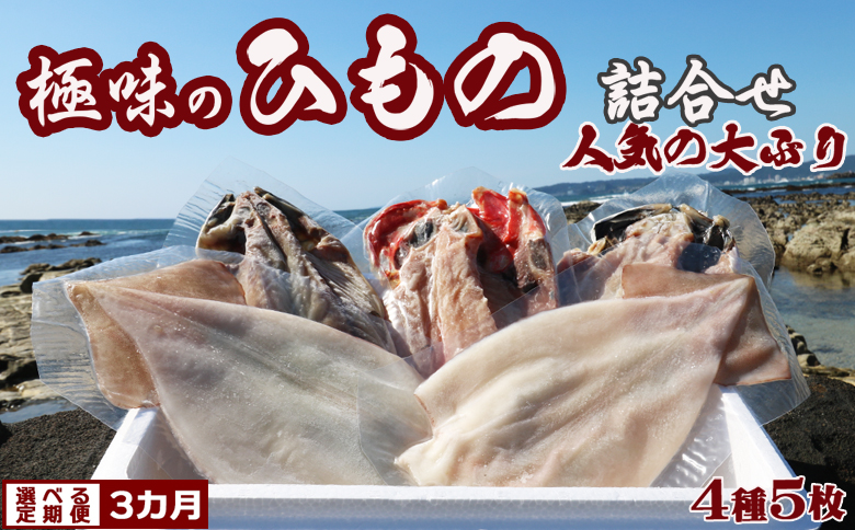 【極味の定期便】特選！人気ひもの詰合せ 大ぶり３種＋いか一夜干し２枚 × 選べる３カ月　[0044-0004]