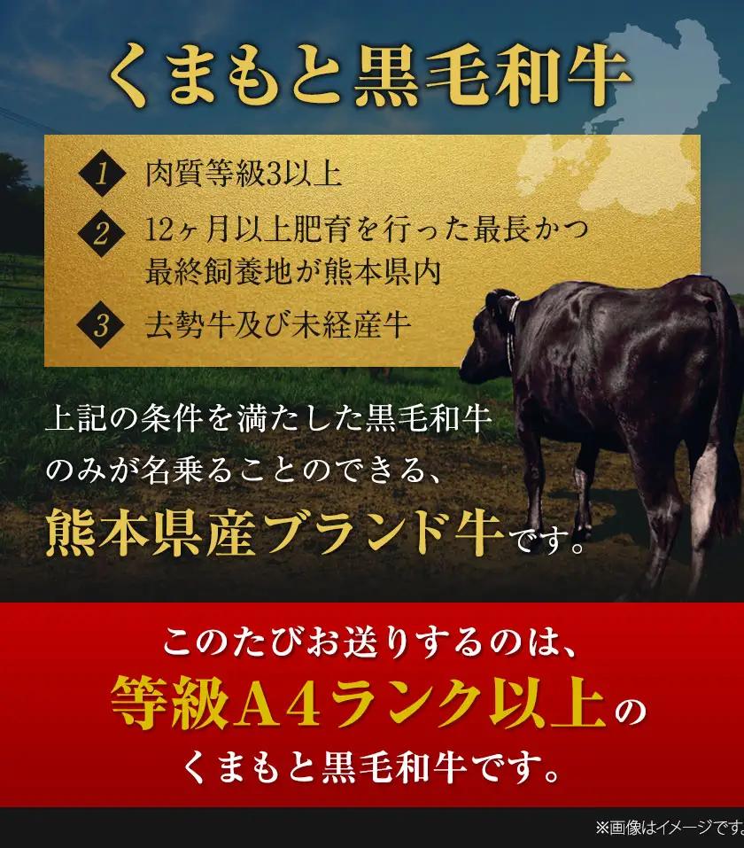 くまもと 黒毛和牛 リブロースステーキ 250g 黒毛和牛