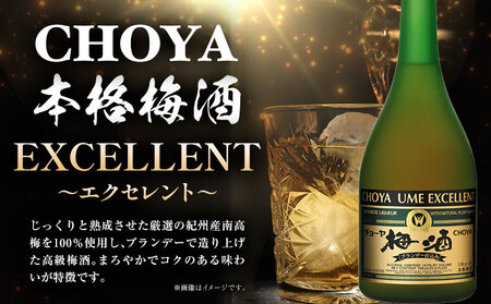 THE CHOYA 紀州南高梅 原酒 720ml EXCELLENT エクセレント 750ml 計2本 セット 飲み比べ 羽曳野商工振興株式会社《30日以内に出荷予定(土日祝除く)》｜　大阪府 羽曳野