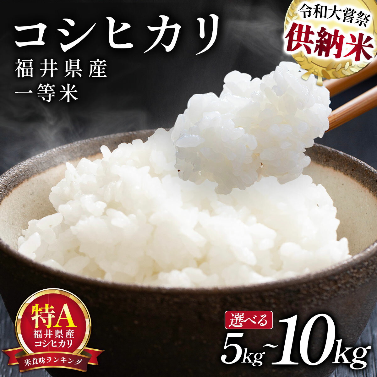 【ふるさと納税】＜令和7年産 / 数量限定 ＞ 福井県産 コシヒカリ 一等米 精米 5kg / 10kg【米 コメ お米 ブランド米 白米 精米 こしひかり 国産 北陸 5kg 10kg ご飯 ごはん 小分け 家庭用 ふるさと納税米】
