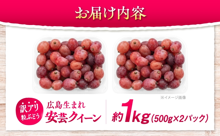 ぶどう ブドウ 葡萄 フルーツ 果物 デザート わけあり 甘い 大粒 スイーツ パック 家庭用 自宅用 安芸 広島県 三次市