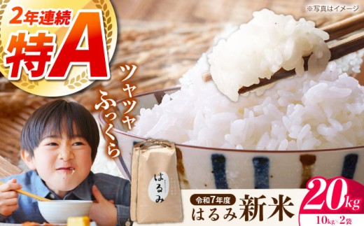 【年内発送】【令和7年度新米】【特Aランク受賞実績あり！】はるみ 20kg(10kg×2袋) 【遠藤ファーム】 新米 20kg (10kg×2袋) 令和7年産 はるみ コシヒカリ の遺伝子を引き継ぐ こしひかり キヌヒカリ 神奈川県産 精米 開成町 米 ご飯 白米 お米 特A 新米 こだわり 白米 こめ コメ お米 2025年産 おこめ 精米 R7 ご飯 ごはん ふるさと納税 [BDAF003]