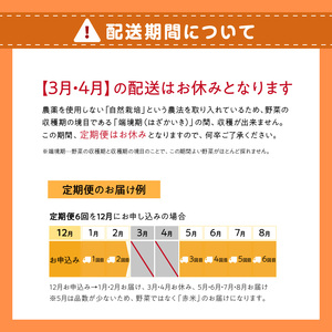 ＜京都産野菜定期便6回＞自然体な野菜セット 旬の野菜 野菜詰合せ 野菜セット 野菜定期便 6回 自然農園 自然栽培 安心 安全 健康 マクロビ ベジタリアン 定期便 京野菜 京都 木津川  086-0