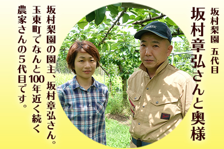 梨 坂村梨園 約3kg 4～10玉前後｜玉東梨