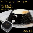 【ふるさと納税】 コーヒーゼリー 6個 高級 珈琲 お菓子 ゼリー ギフト シュガー フレッシュ 付き キリマンジャロ 贈り物 スーパーセール BRIJU サクラ食品工業工業 父の日 プレゼント