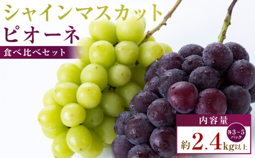 シャインマスカット+ピオーネ　パック食べ比べセット　約2.4kg以上(各3～5パック)