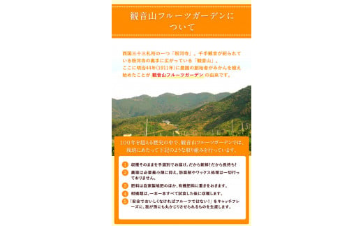 みかん農園サイダー（果汁51％）24本入有限会社柑香園《30日以内に出荷予定(土日祝除く)》フルーツ果物柑橘炭酸サイダー---wsk_kcemns_30d_22_28000_24p---