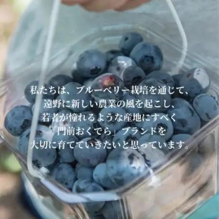 濃縮ジャムタイプ「そのままブルーベリー」100g×3本　門前おくでらブルーベリー園【1738483】