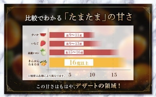 ≪先行予約≫ 宮崎県産 完熟きんかん「たまたま」約3kg 糖度16度以上 ブランド 金柑 柑橘 果物 くだもの フルーツ 2026年発送 約3kg
