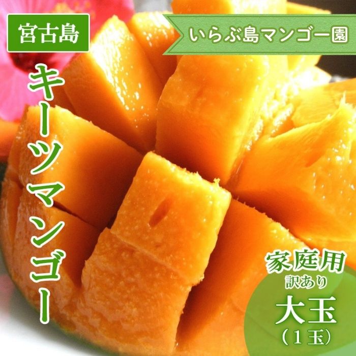 【ふるさと納税】【先行受付】＜2026年発送＞いらぶ島マンゴー園　宮古島産“キーツマンゴー”《家庭用》大玉1玉　900g以上（HR08）