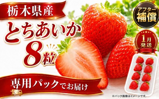 いちご【先行予約】【2027年1月以降発送】とちあいか 専用パックでお届け！ 発送月が選べる お試し 8粒 【栃木県 真岡市産】いちご 果物 イチゴ 苺 旬 産地直送 国産