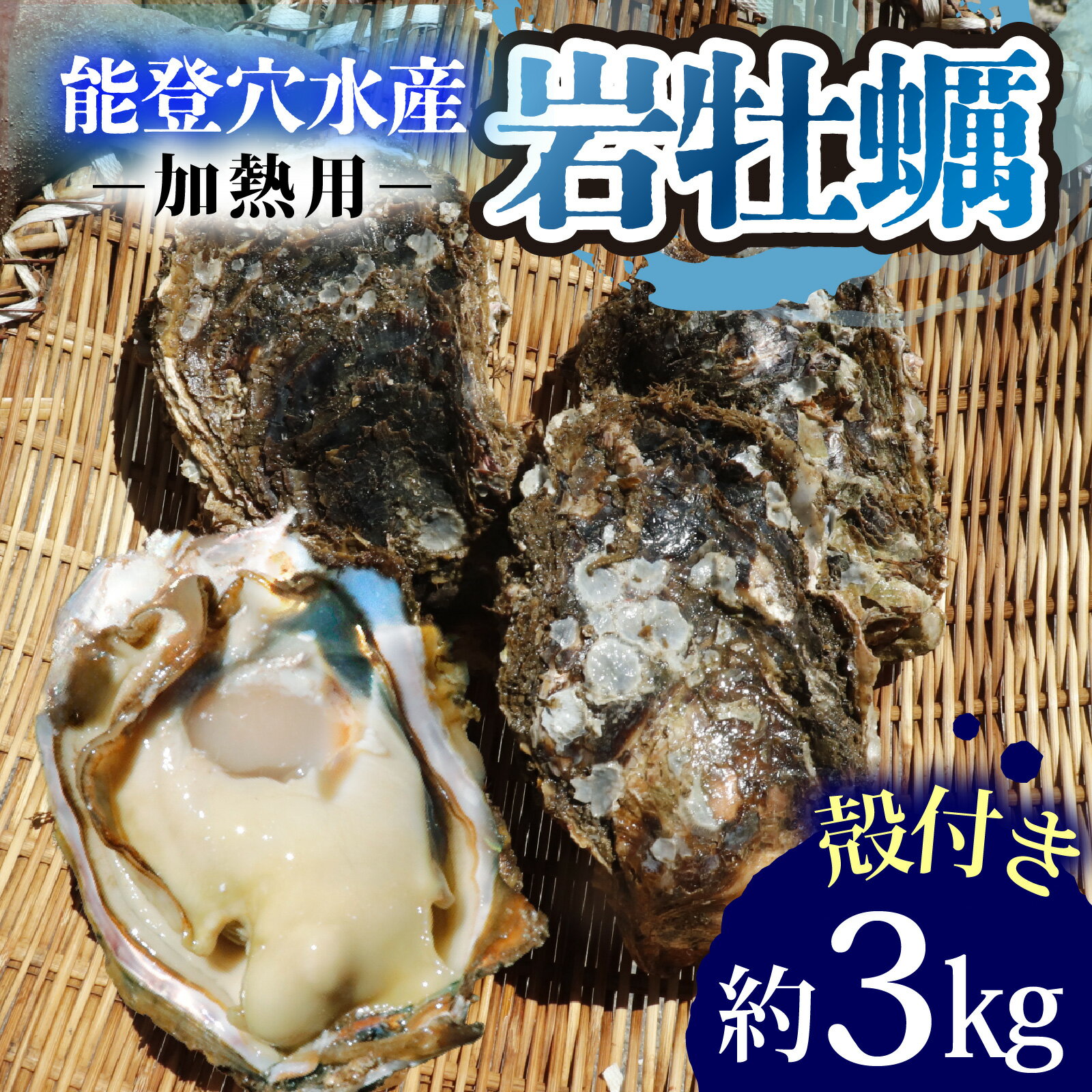 【ふるさと納税】奥能登 松村水産の岩牡蠣 約3kg 【殻付き・加熱用】【2025年6月中旬より順次発送】/ 魚介類 海の幸 海のミルク オイスター 海鮮 国産 穴水町 奥能登 能登半島 大粒 旬 かき カキ 送料無料