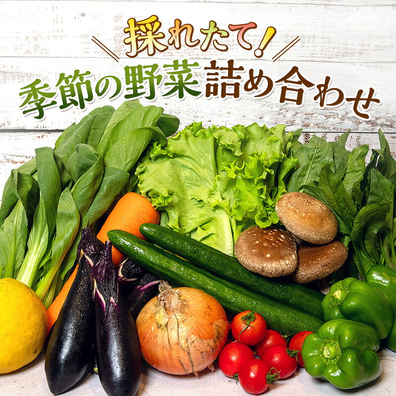 【ふるさと納税】野菜 詰め合わせ セット 8品前後 とれたて 季節の野菜 パック 旬の野菜 旬 野菜詰め合わせセット 産地直送 送料無料 たまねぎ にんじん じゃがいも ほうれん草 トマト キャベツ しいたけ 大根 白菜 冷蔵 静岡県袋井市