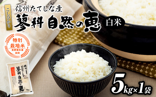 【令和8年産米】 信州たてしな産 蓼科自然の恵 (白米) 5kg (5kg×1袋)