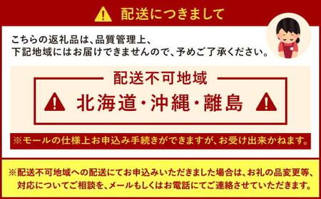 福岡県産 博多あまおう 約1.12kg (約280g×4パック入り)【2025年1月下旬～3月下旬発送予定】 いちご 苺 果物 フルーツ