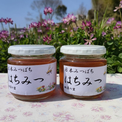 
＜2023年度産 採蜜＞日本みつばちが集めた貴重なはちみつ(百花蜜)をお届けします。【1151556】
