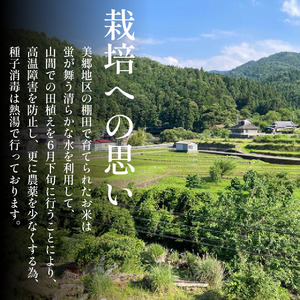 米 白米 4kg （2kg × 2袋 ）コシヒカリ 令和7年度産