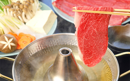 A4等級以上【飛騨牛】もも・かたスライス（600g 300g×2パック）和牛 すき焼き しゃぶしゃぶ 小分け 大容量 ブランド牛 ネオプライムヒグチ 肉のひぐち お中元 お歳暮 ギフト F6M-338