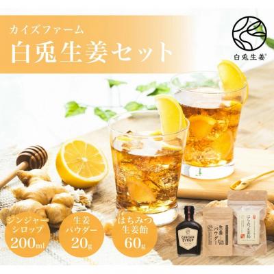 ふるさと納税 鳥取市 白兎生姜セット